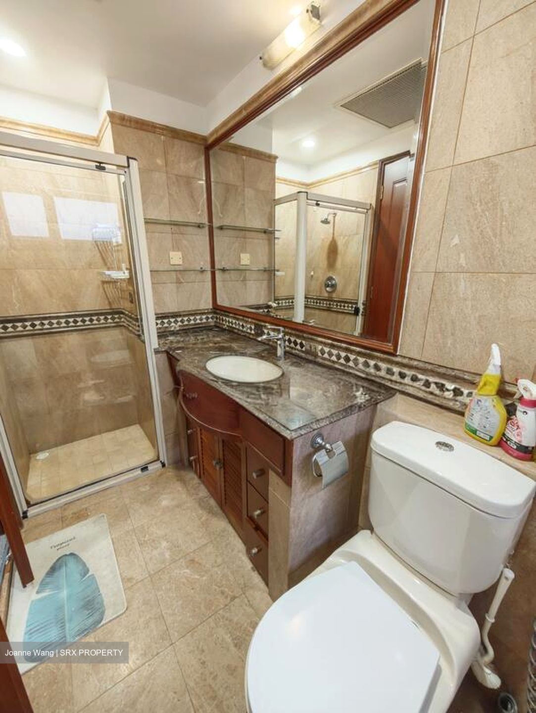 Dover Parkview (D5), Condominium #504605251